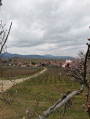 Vue sur Beblenheim du Mandelberg