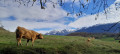 Vue sur Belledonne