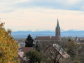 Le Parc à Cigognes de Cernay depuis Uffholtz