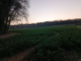 La vallée de la Vaucouleurs, de Rosay à Septeuil