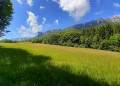 Vue sur Chartreuse