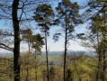 Vue sur Cleebourg