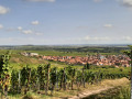 Vue sur Dambach et la plaine d'Alsace