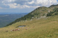 Vue sur Genève