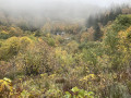 Vue sur l’étang noir