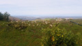 Vue sur l'océan depuis le sommet