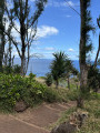 La Plage et le Piton de Grande Anse