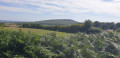 Vue sur la Butte Chaumont