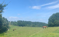 Vue sur la Campagne