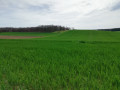 Vue sur la campagne