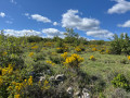 Vue sur la campagne