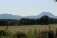 Vue sur la Chaîne des Puys nord