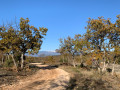 vue sur la combe