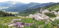 Vue sur la crête du pas de Serpaton