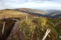 Vue sur la crête et la Vallée de Munster depuis le Batteriekopf