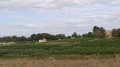 Boucle autour de Saint-Aignan