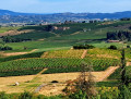 vue sur la madone de blacé