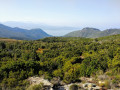 Monte Stellu par Olmeta di Capicorsu