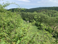 Vue sur la plaine de l'ancien lit de la Lomme