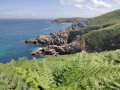 Vue sur la Pointe du Millier