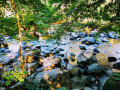 Vue sur la rivière