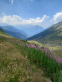 Vue sur la vallée d'Allemond