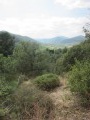 vue sur la vallée de l'Eyrieux