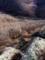 Vue sur la vallée du Crinzon