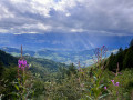 Vue sur la vallée du Gresivaudan