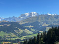 Vue sur la vallée et Mont Blanc