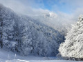 Vue sur le Ballon d'Alsace