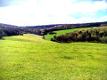 Vue sur le bois de la Roche Guyon