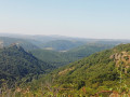 Vue sur le château de Léotoing et la vallée de l'Alagnon