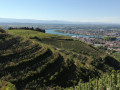 Vue sur le cingle du RHONE et les vignobles depuis la Chapelle de l'HERMITAGE;