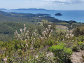 Vue sur le Fort de Brégançon