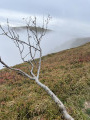 Vue sur le Honneck