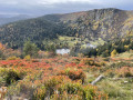 Vue sur le lac des truites