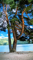 Tour du Lac d'Issarlès