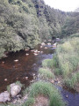 Boucle dans le Velay - Lignon au départ du Pont de Mars