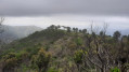 Vue sur le massif des Maures