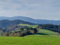 Vue sur le massif du Feldberg