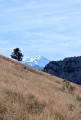 Pointe de Sur Cou et Chalet de Balme