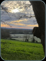 Vue sur les collines du Mont Rochard.