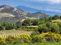 Vue sur le Mont Ventoux