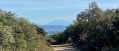 Vue sur le Mont-Ventoux