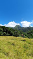 Morne Chapeau Nègre avec une machette