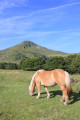 Vue sur le Puy Mary