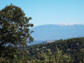 Vue sur le Ventoux