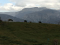 Vue sur le Vercors depuis Veyrand