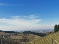 Vue sur le vignoble